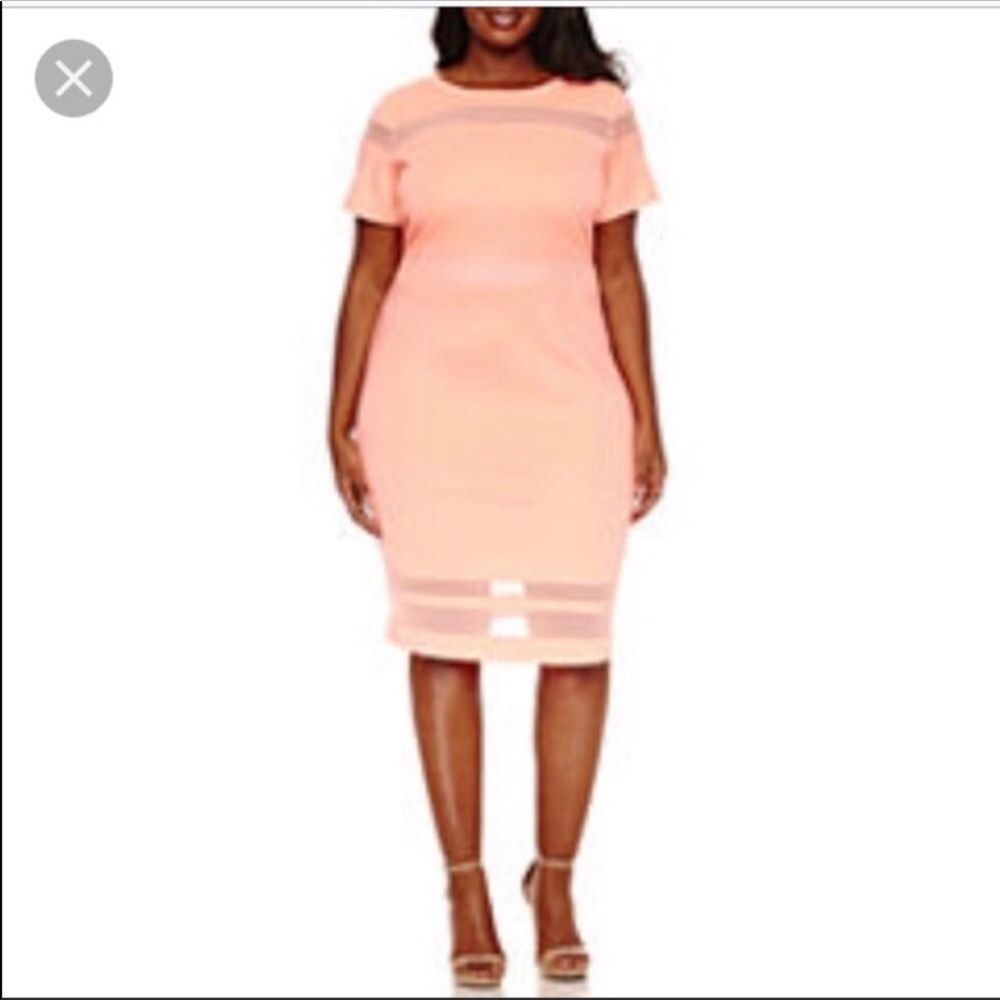 CORAL SHEATH SHEER  PANEL CAP SLEEVE DRESS